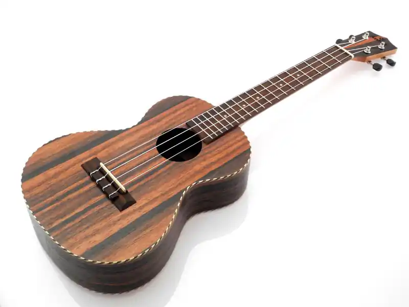Top-Preis koki'o Ebenholz Tenor Ukulele U-LEBLEB-T