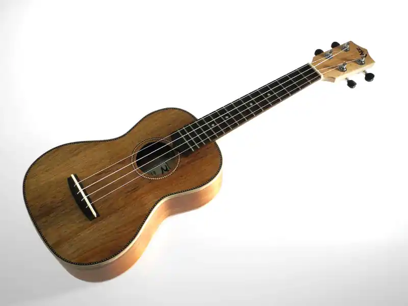 Beliebt RISA Uke-Acoustic-Concert Akazie UKA-CKK