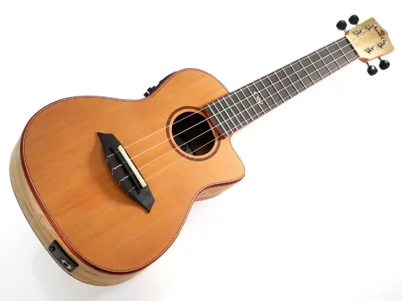 Must-Have koki'o Massivzeder-Ahorn Concert Elektrisch U-SCDLSM-CE-C