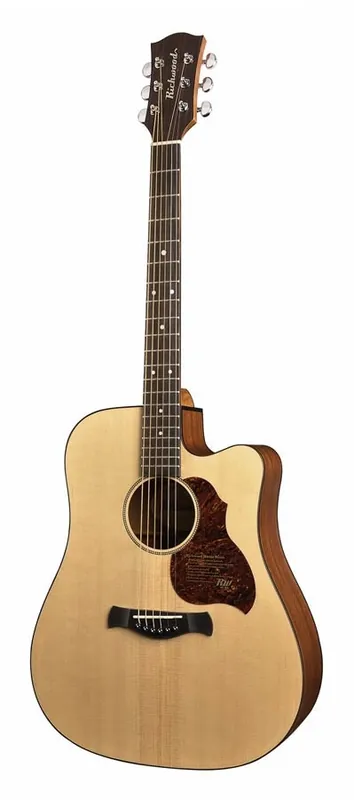 Richwood D-20-CE Dreadnought Westerngitarre Master Serie Seidenmatt Neuheit