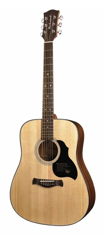 Expressversand Richwood D-40 Dreadnought Westerngitarre Master Serie