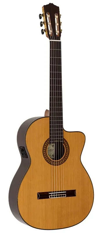 Zertifiziert Salvador Cortez CC-60-CE Konzertgitarre 4/4 mit Gigbag