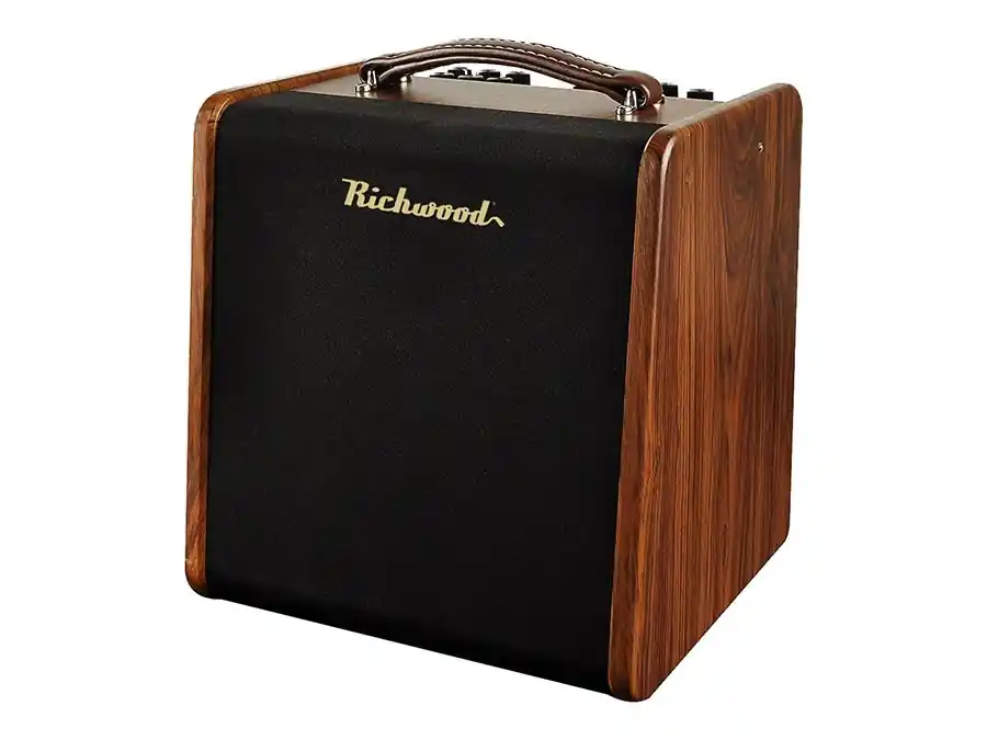 Kostenloser Rückversand Richwood RPF-65 Acoustic Guitar Amplifier
