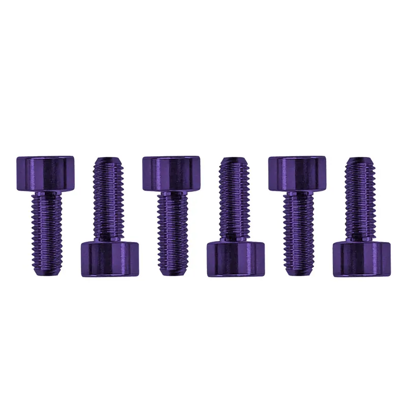 Floyd Rose FROSMSPLP - Color Stainless Steel Saddle Mounting Screws (6 pcs), Purple Saisonangebot