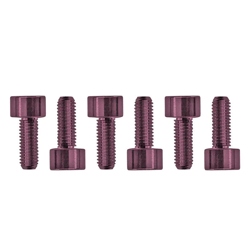 Sichere Zahlung Floyd Rose FROSMSPKP - Color Stainless Steel Saddle Mounting Screws (6 pcs), Pink
