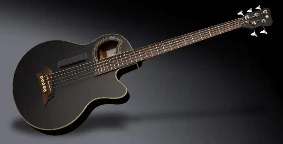 Ausverkauf Warwick RockBass Alien Deluxe Hybrid Thinline, 5-String - Solid Black Satin