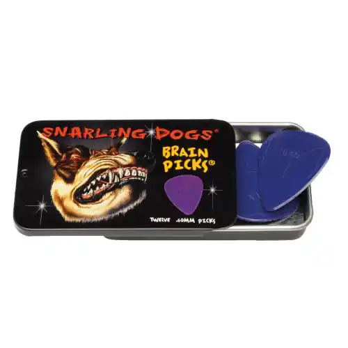 D'Andrea Snarling Dog Brain Picks - 351 Shape (TNSDB351 .60), 12 pcs Pick Tin, 0.60 mm, Purple Nur Für Kurze Zeit