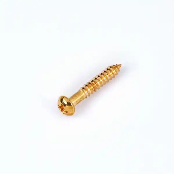 Super-Preis Bigsby Screw, Hinge Regular Gold