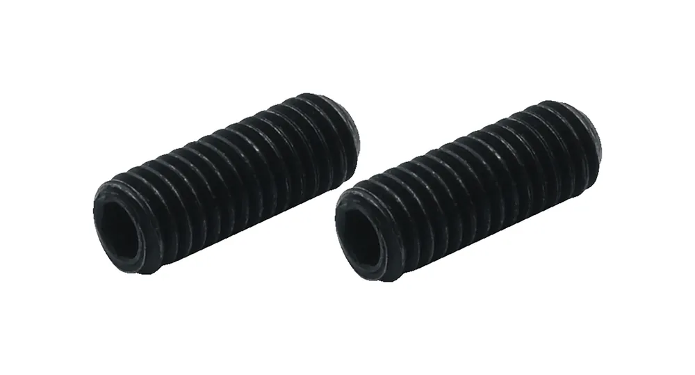 Highlight Warwick Parts - Saddle Adjustment Screw (M3 x 8mm) / DIN916, 2 pcs.