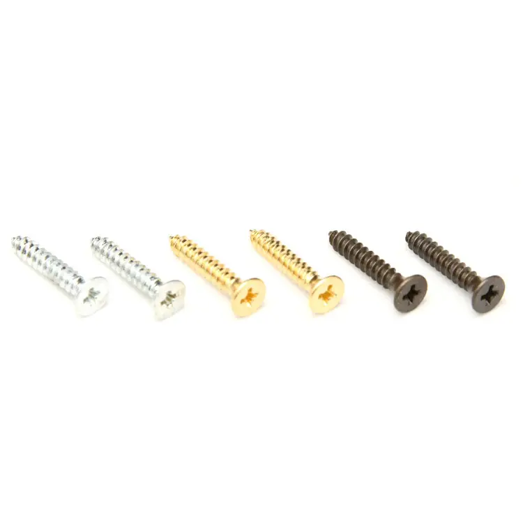 Versand Am Gleichen Tag Floyd Rose FR1NMSTSC - 1000 Series / Special Nut Mounting Screws (2 pcs) - Top - Satin Chrome