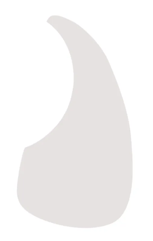 Angebot D'Andrea Small Acoustic Guitar Pickguard (376B SM SHL), Clear