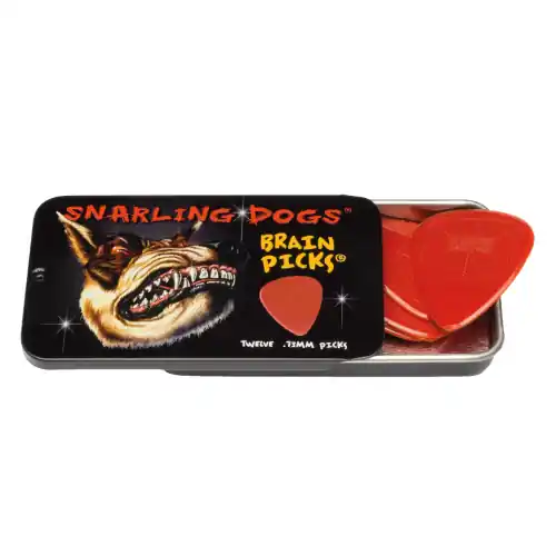 Kostenloser Versand D'Andrea Snarling Dog Brain Picks - 351 Shape (TNSDB351 .73), 12 pcs Pick Tin, 0.73 mm, Red
