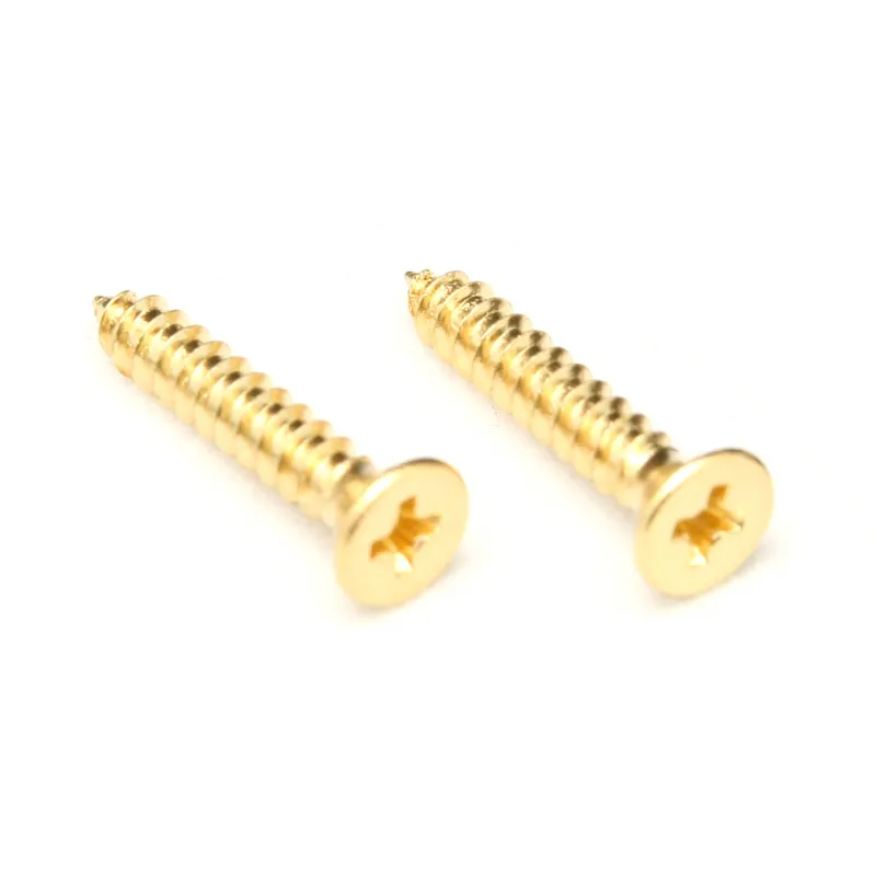 Begrenztes Angebot Floyd Rose FRXNMSSGP - FRX Nut Mounting Screws (2 pcs) - Satin Gold