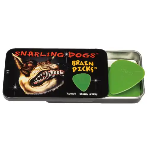 Ausverkauf D'Andrea Snarling Dog Brain Picks - 351 Shape (TNSDB351 .53), 12 pcs Pick Tin, 0.53 mm, Green