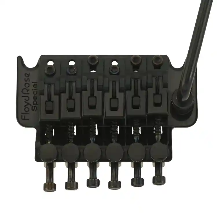 Neuheit Floyd Rose FRTS2000 - Special Tremolo - Black